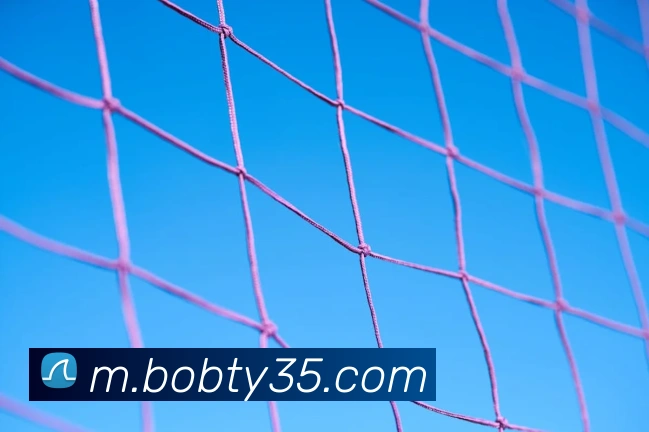 半岛· bob综合体育官方网站服务体系
